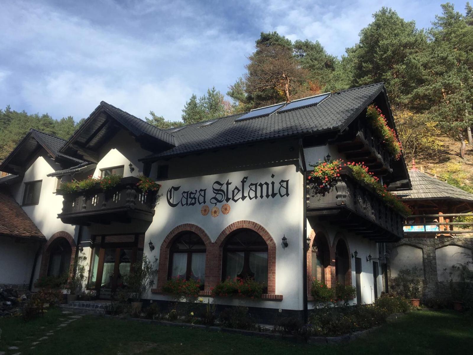 Hotel Casa Stefania Tălmaciu Exterior foto